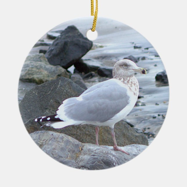 Seagull Photo Ornament  (Front)