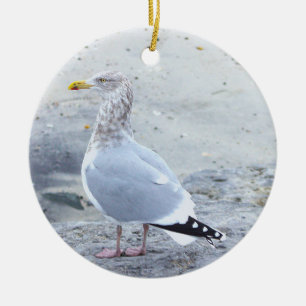 Seagull Photo Ornament