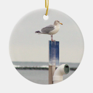 Seagull Photo Ornament 