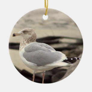 Seagull Photo Ornament 