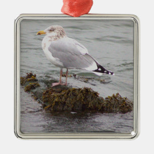 Seagull Photo Ornament 