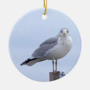 Seagull Photo Ornament 