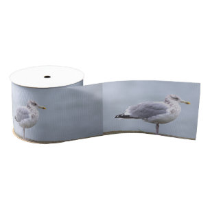 Seagull Photo Ribbon Grosgrain Ribbon