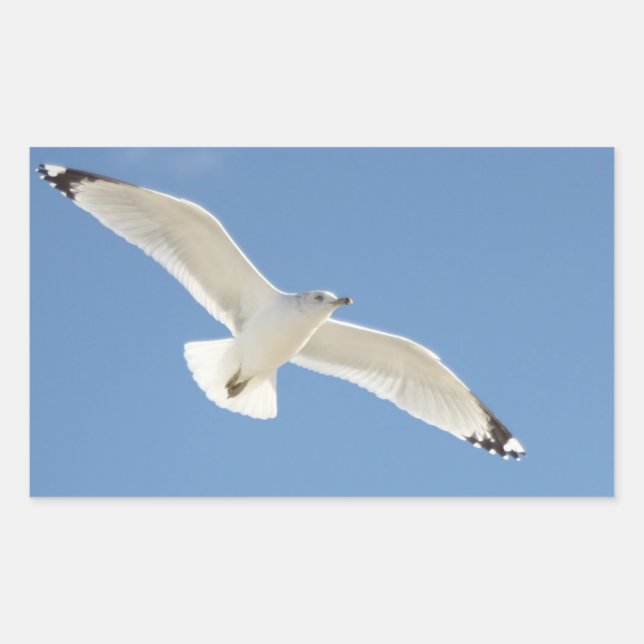 Seagull photo sticker (Front)
