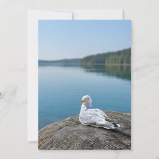 Seagull Photography Card, Coastal Nature Gift, Ins Thank You Card