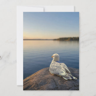 Seagull Photography Card, Coastal Nature Gift, Ins Thank You Card