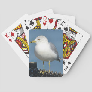 Seagull Playing Cards