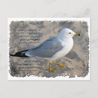 Seagull Postcard