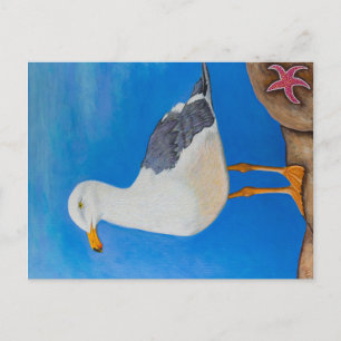 Seagull Postcard