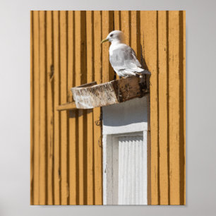 Seagull Poster