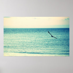 Seagull Poster