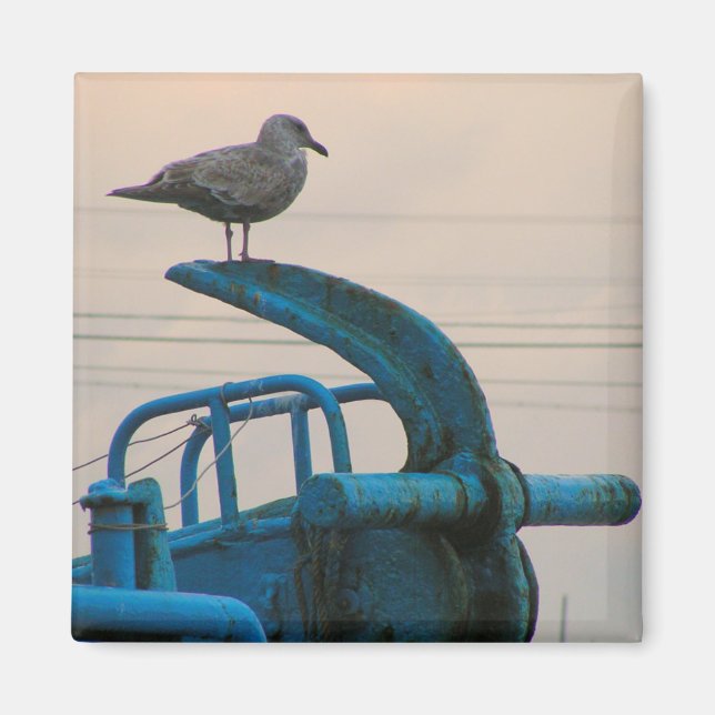 Seagull Rests On Anchor Of Ship | Choshi Magnet (Front)