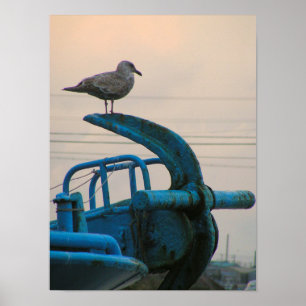 Seagull Rests On Anchor Of Ship   Choshi Poster