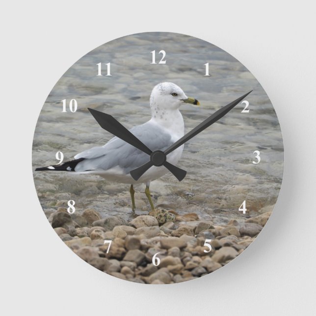 Seagull Round Clock (Front)