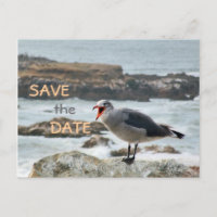 Seagull Save the Date