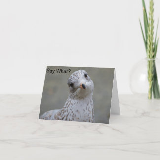 Seagull Say What? Note Card