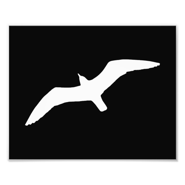 Seagull Shape Photo Print (Front)