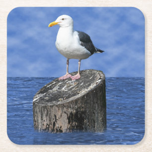 SEAGULL SQUARE PAPER COASTER