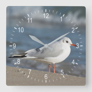 Seagull Square Wall Clock