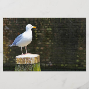 Seagull Stationery