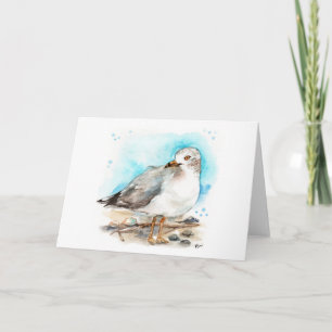 Seagull Study 2 Card