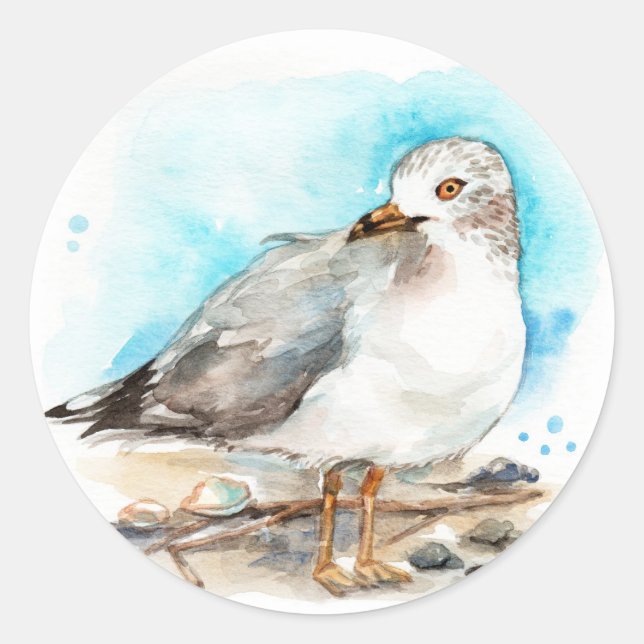 Seagull Study 2 Classic Round Sticker (Front)