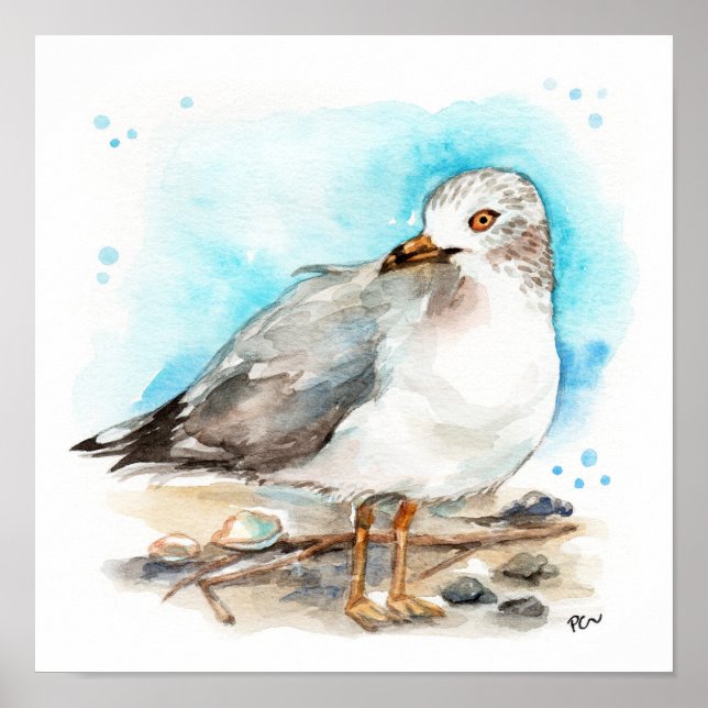 Seagull Study 2 Poster (Front)