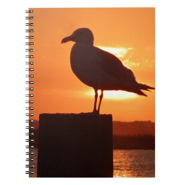 Seagull Sunset Notebook (Front)