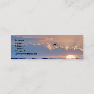 Seagull Sunset  Profile Card