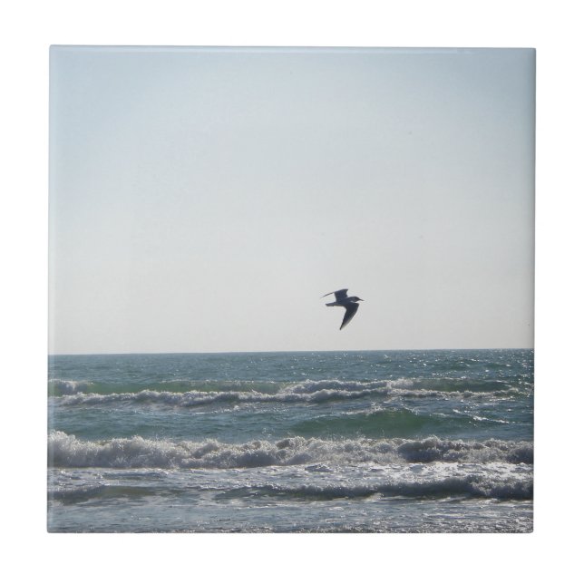 Seagull Tile (Front)