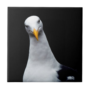 Seagull Tile