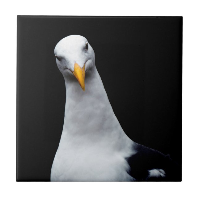 Seagull Tile (Front)