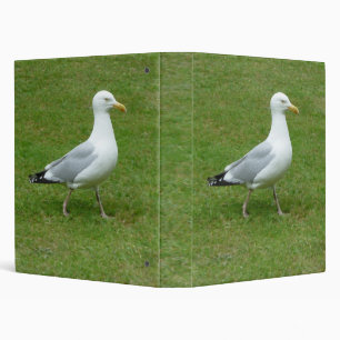 Seagull walking in the Park (1.0in) Binder