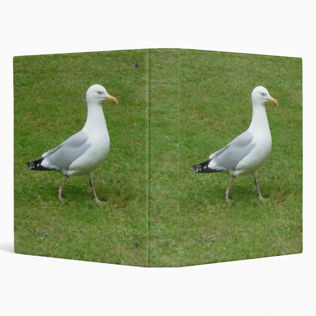 Seagull walking in the Park (1.0in) Binder (Background)