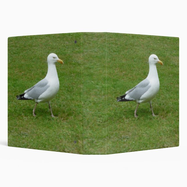Seagull walking in the Park (1.5in) Binder (Background)