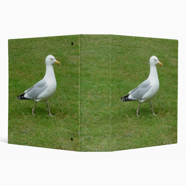 Seagull walking in the Park (2.0in) Binder (Background)
