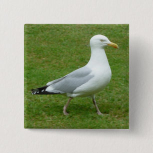 Seagull walking in the Park 2 Inch Square Button