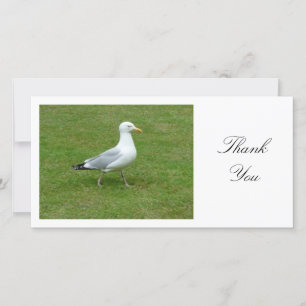 Seagull Walling in the Park - Thank You Card