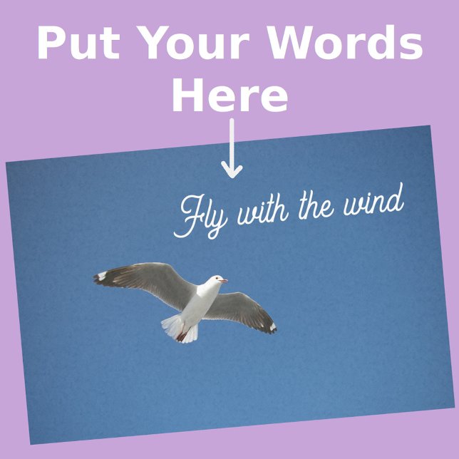 Seagull White Grey Blue Inspiration Photo Tissue Paper (Front View)