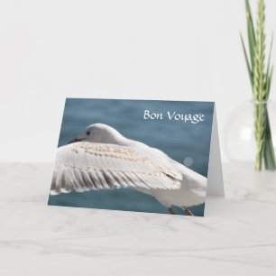 seagull wishes card