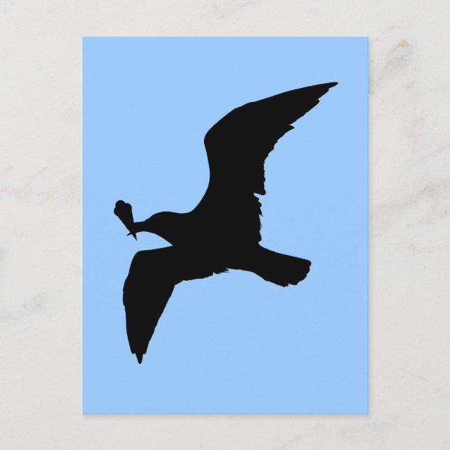 Seagull With Icecream Postcard (Front)