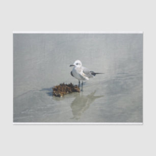 Seagull with Seaweed Tissue Paper