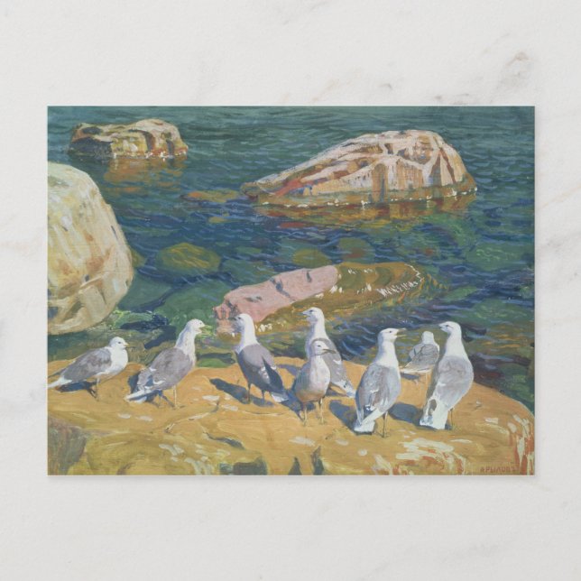 Seagulls, 1910 postcard (Front)