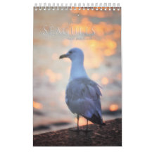 Seagulls and Beach Bird Landscape Photo Calendar