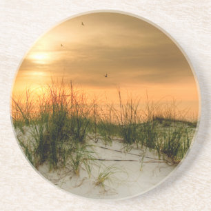 Seagulls at Sunrise Coaster