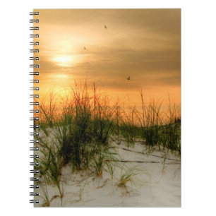 Seagulls at Sunrise Notebook