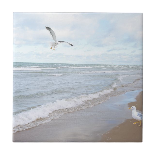 Seagulls at the Beach Tile (Front)