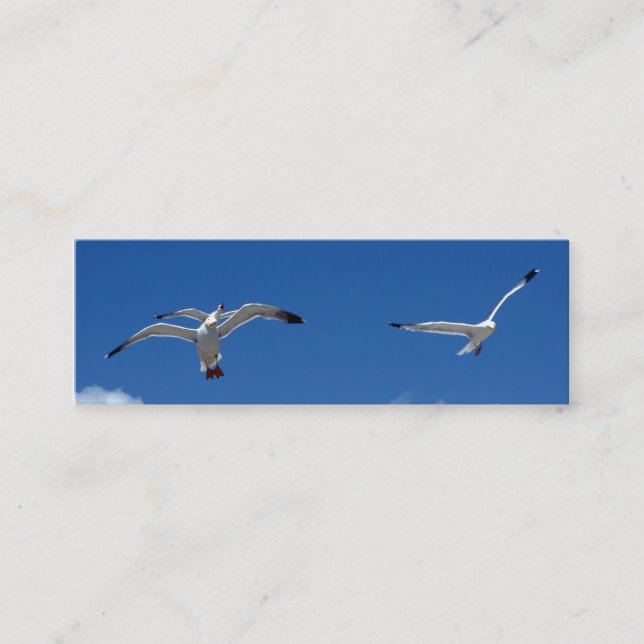 Seagulls bookmark business card (Front)