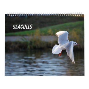 Seagulls Calendar