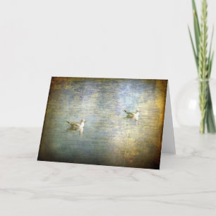 Seagulls Card